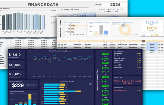 Financial Statement (Excel File) 12M 3 USER